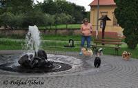 Click to view album: 5.- 6.7.2014 - Veľká Ida, SK